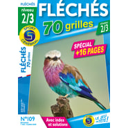 Fléchés 70 Grilles niveau 2/3 Numéro 109