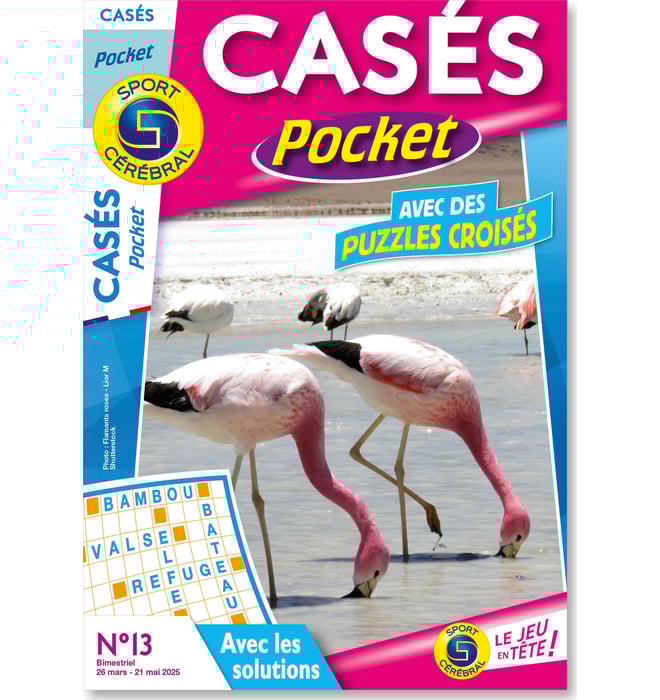 Casés Pocket
