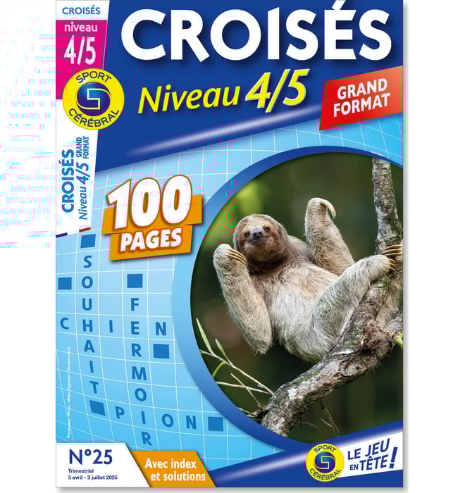 Croisés Niveau 4/5 grand format