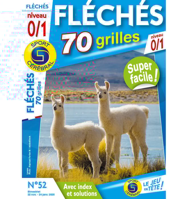Fléchés 70 Grilles niveau 0/1 Numéro 52 Fléchés 70 Grilles niveau 0/1 Numéro 52
