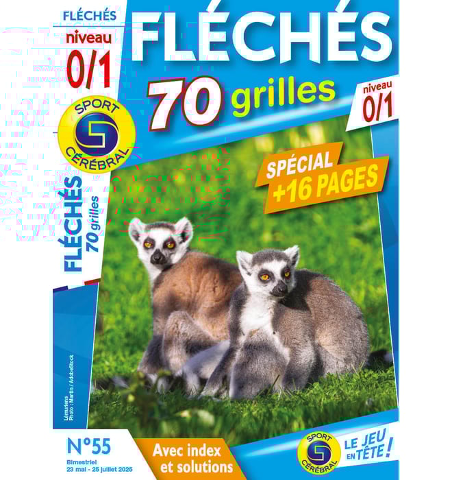 Fléchés 70 Grilles niveau 0/1