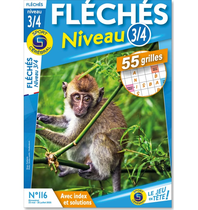 Fléchés Niveau 3/4
