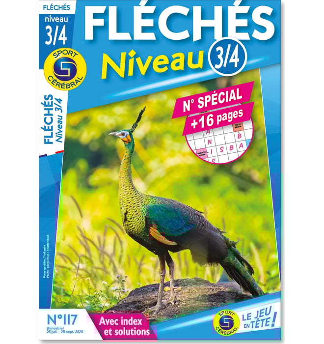 Fléchés Niveau 3/4 Numéro 117 Fléchés Niveau 3/4 Numéro 117