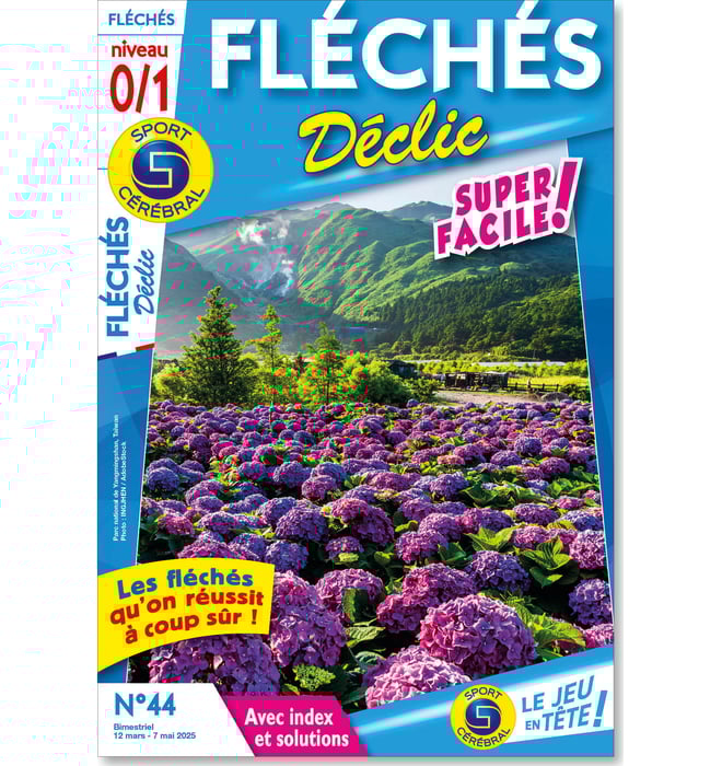 Fléchés Déclic Numéro 44