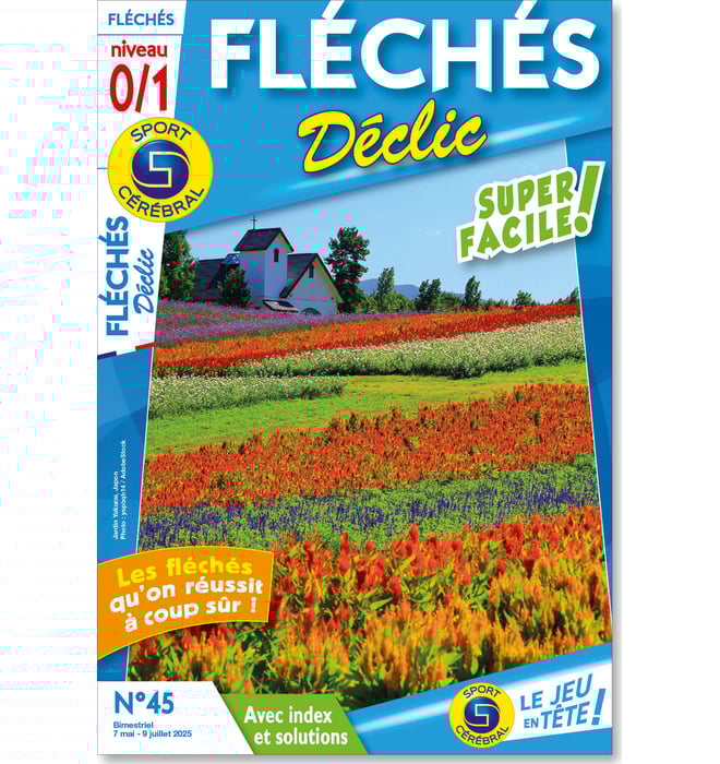 Fléchés Déclic Numéro 45 Fléchés Déclic Numéro 45