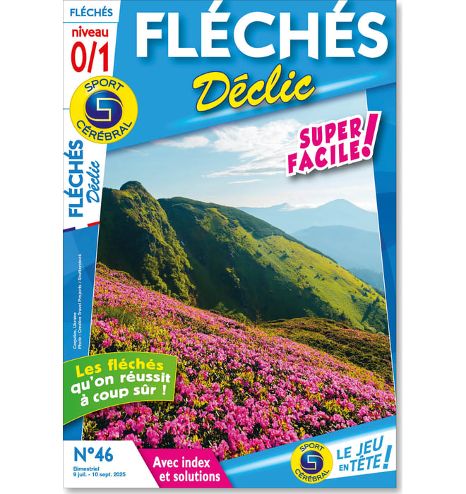 Fléchés Déclic Numéro 46 Fléchés Déclic Numéro 46
