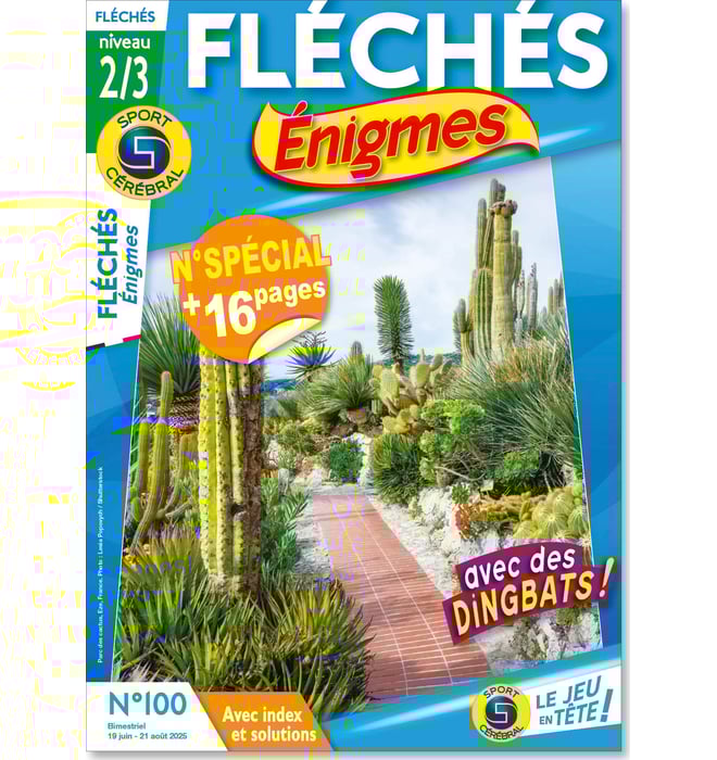 Fléchés Énigmes Numéro 100 Fléchés Énigmes Numéro 100