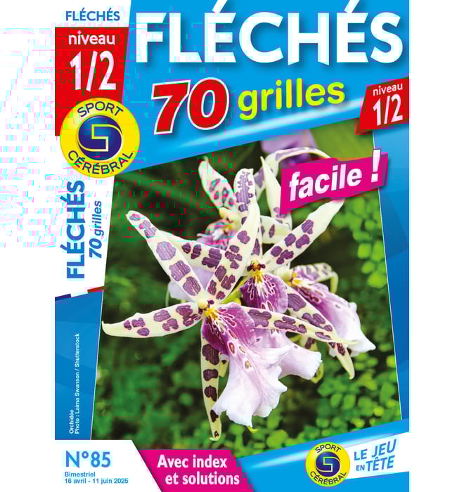 Fléchés 70 Grilles niveau 1/2 Numéro 85 Fléchés 70 Grilles niveau 1/2 Numéro 85