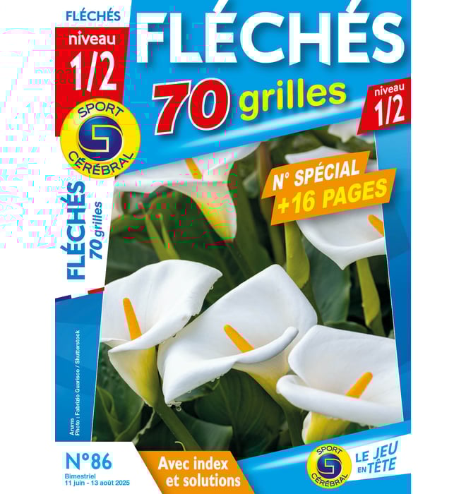 Fléchés 70 Grilles niveau 1/2 Numéro 86 Fléchés 70 Grilles niveau 1/2 Numéro 86