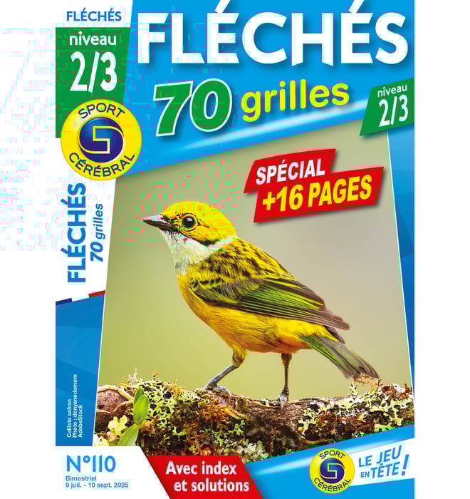 Fléchés 70 Grilles niveau 2/3 Numéro 110 Fléchés 70 Grilles niveau 2/3 Numéro 110