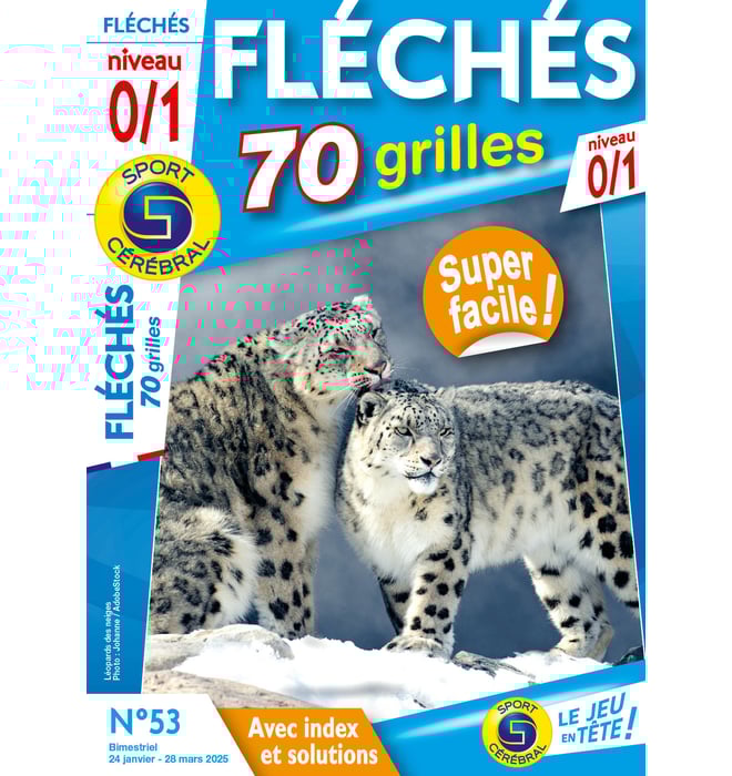 Fléchés 70 Grilles niveau 0/1 Numéro 53 Fléchés 70 Grilles niveau 0/1 Numéro 53