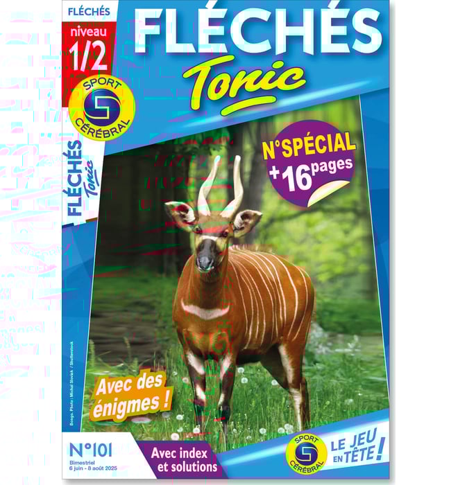 Fléchés Tonic Numéro 101 Fléchés Tonic Numéro 101