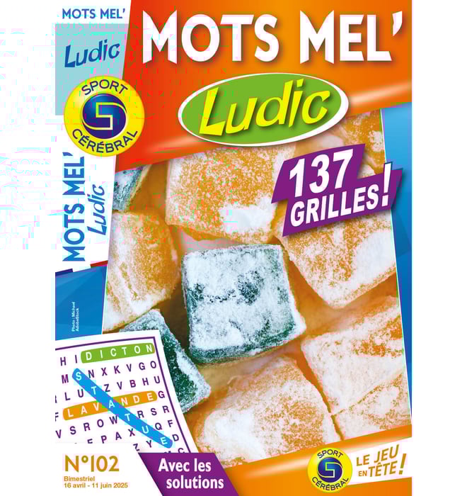 Mots Mel' Ludic