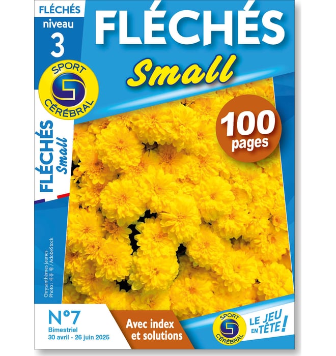 Fléchés Small Numéro 7 Fléchés Small Numéro 7