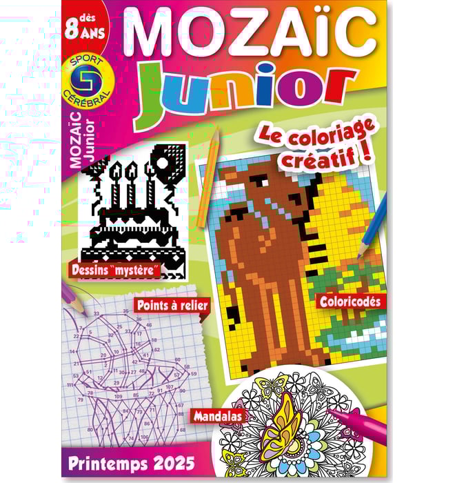 Mozaïc Junior Numéro 41 Mozaïc Junior Numéro 41