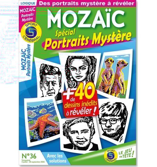 Mozaïc spécial portraits mystère Numéro 36 Mozaïc spécial portraits mystère Numéro 36