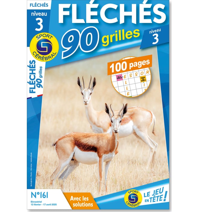 Fléchés 90 grilles niveau 3 Numéro 161 Fléchés 90 grilles niveau 3 Numéro 161
