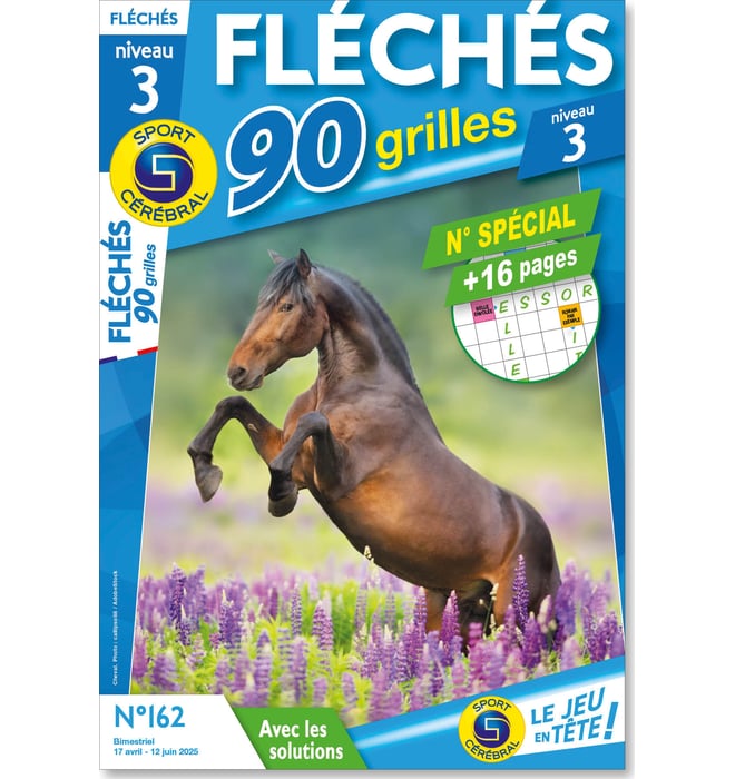 Fléchés 90 grilles niveau 3
