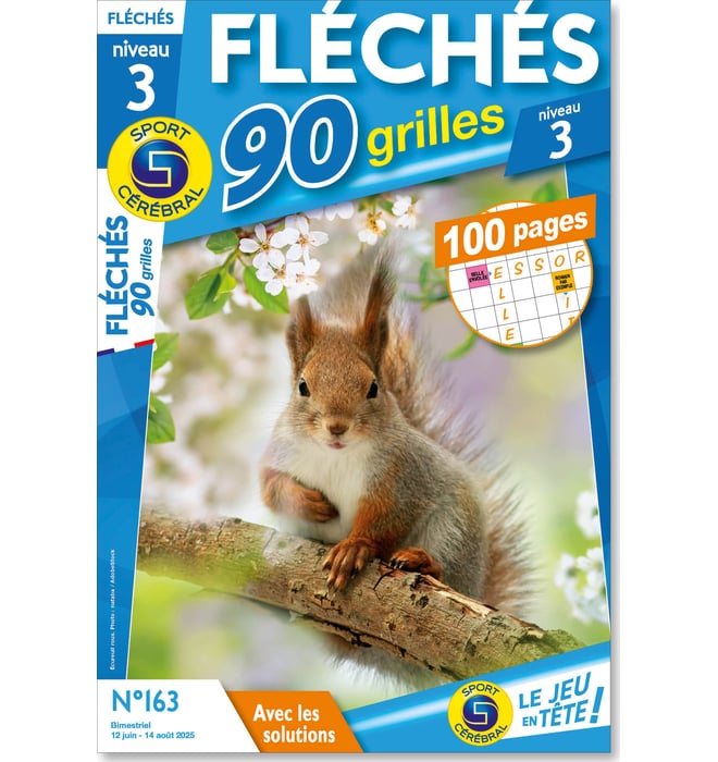 Fléchés 90 grilles niveau 3 Numéro 163 Fléchés 90 grilles niveau 3 Numéro 163