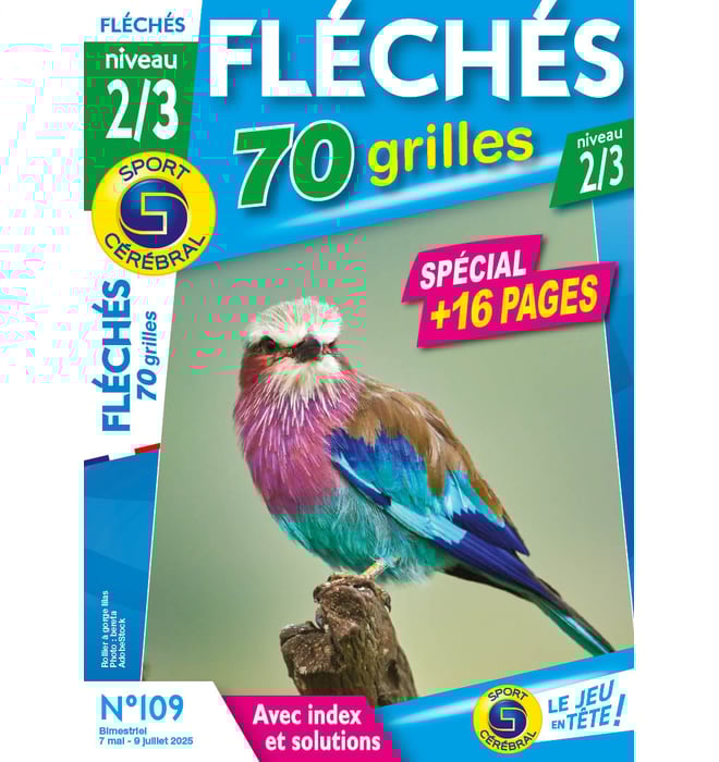 Fléchés 70 Grilles niveau 2/3 Numéro 109 Fléchés 70 Grilles niveau 2/3 Numéro 109