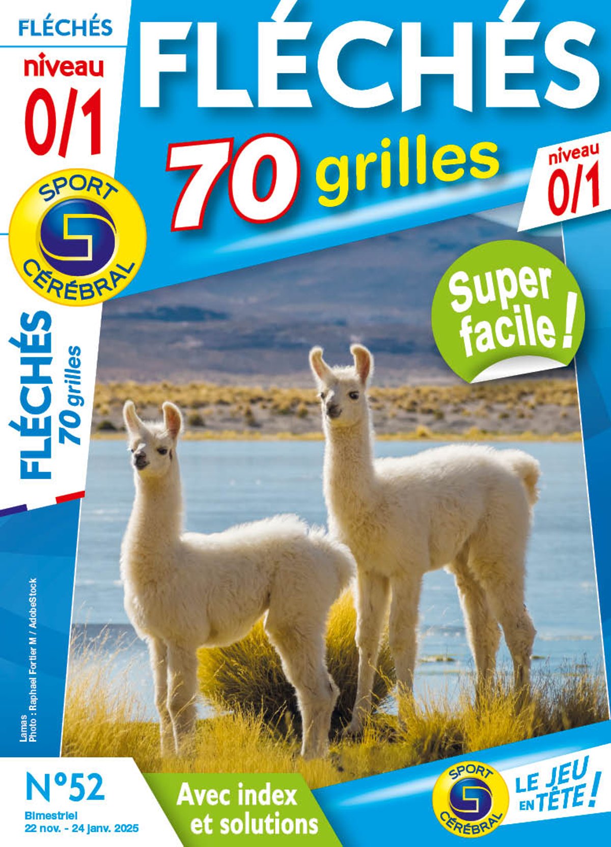 Fléchés 70 Grilles niveau 0/1 Numéro 52