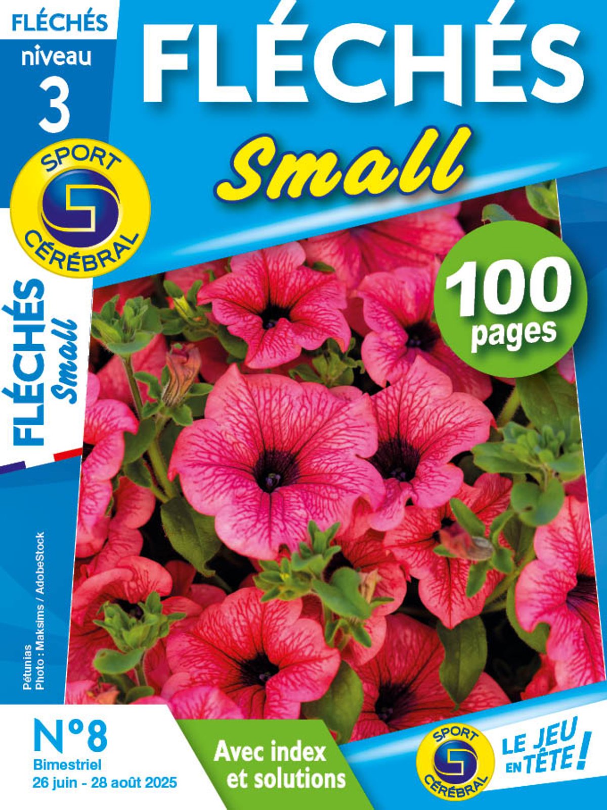 Fléchés Small Numéro 8