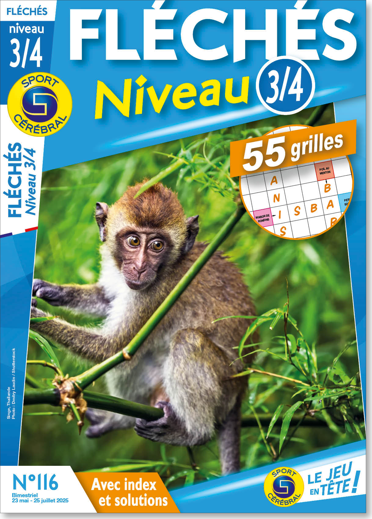Fléchés Niveau 3/4 Numéro 116