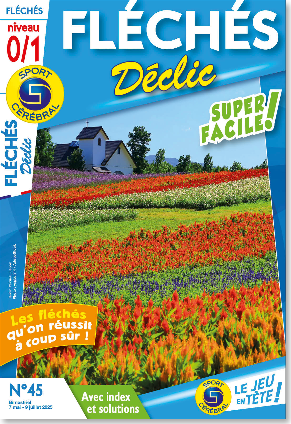 Fléchés Déclic Numéro 45