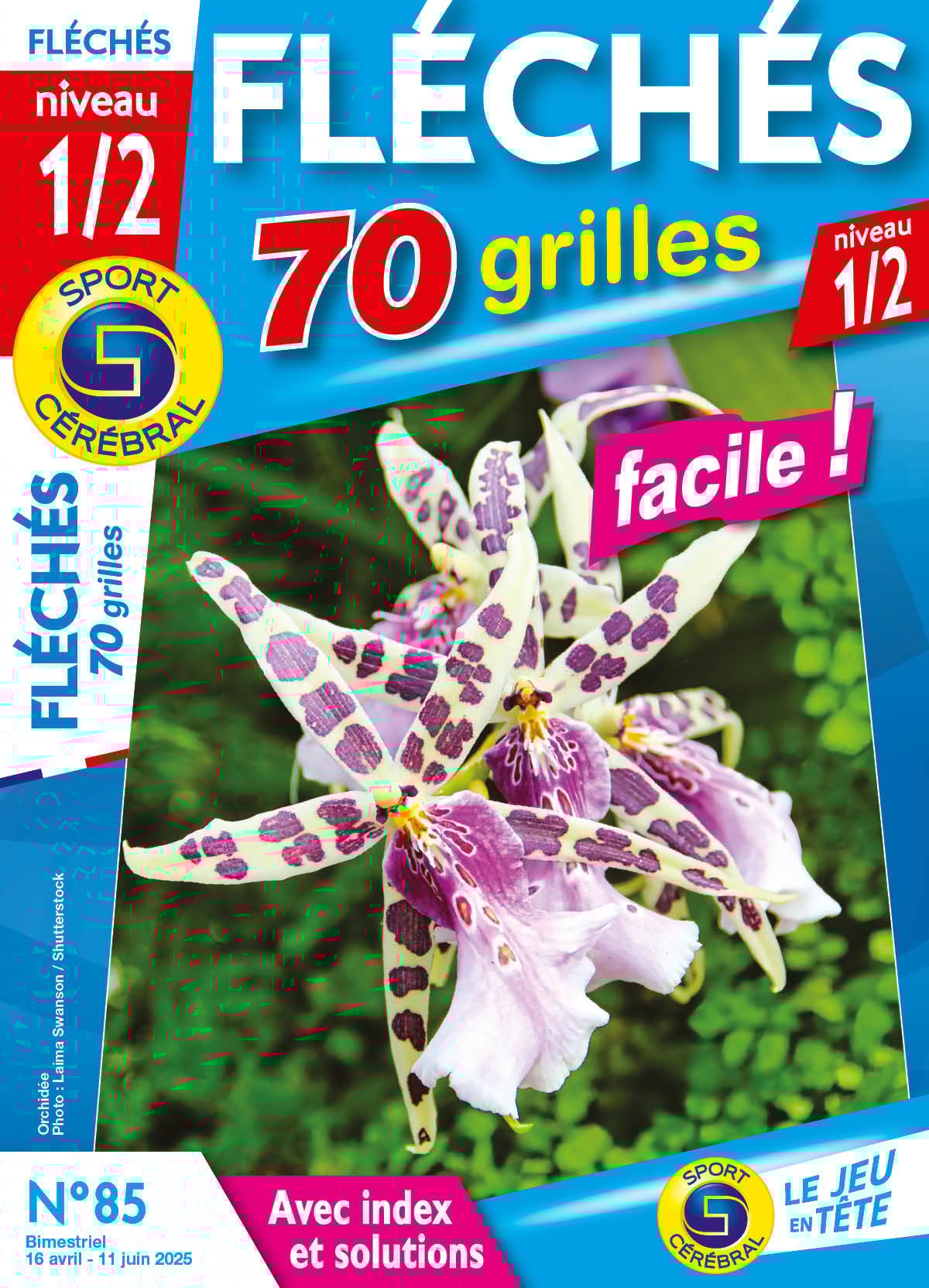 Fléchés 70 Grilles niveau 1/2 Numéro 85