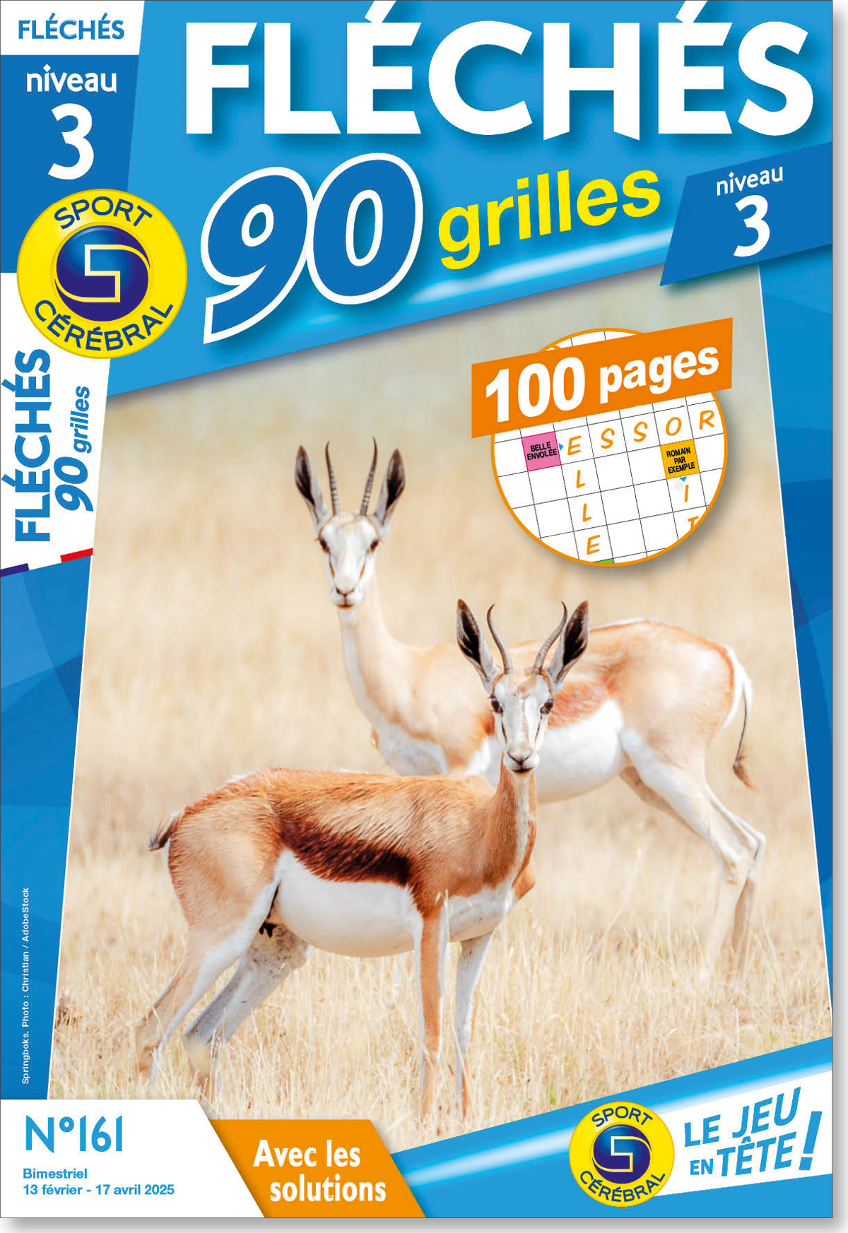Fléchés 90 grilles niveau 3 Numéro 161