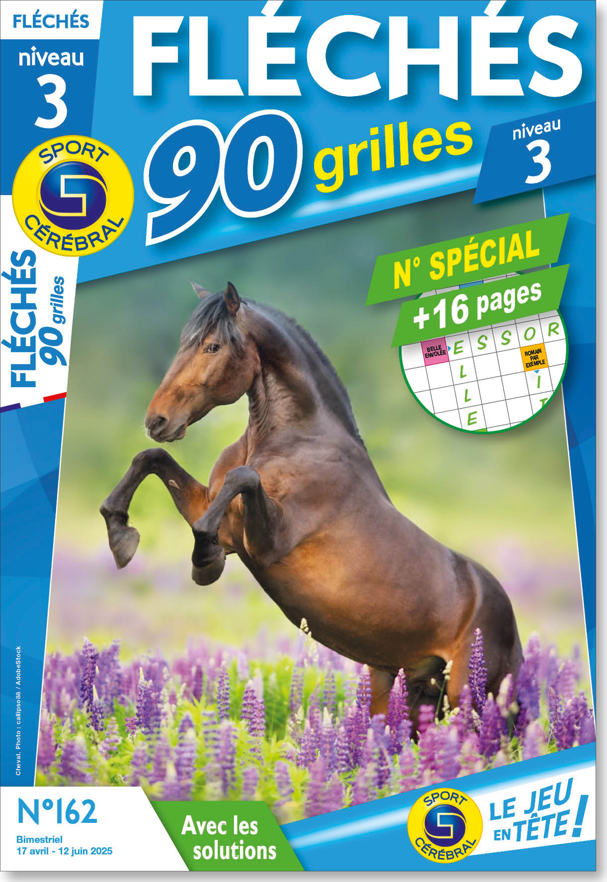 Fléchés 90 grilles niveau 3 Numéro 162