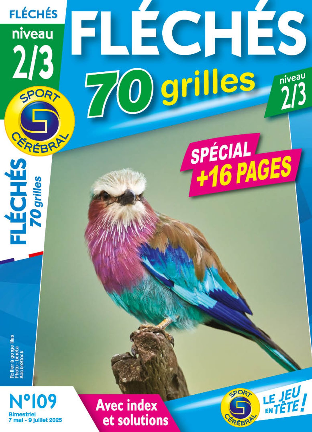 Fléchés 70 Grilles niveau 2/3 Numéro 109