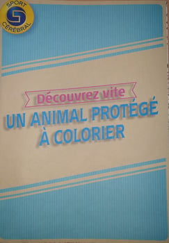 Poster XXL à colorier animal protégé