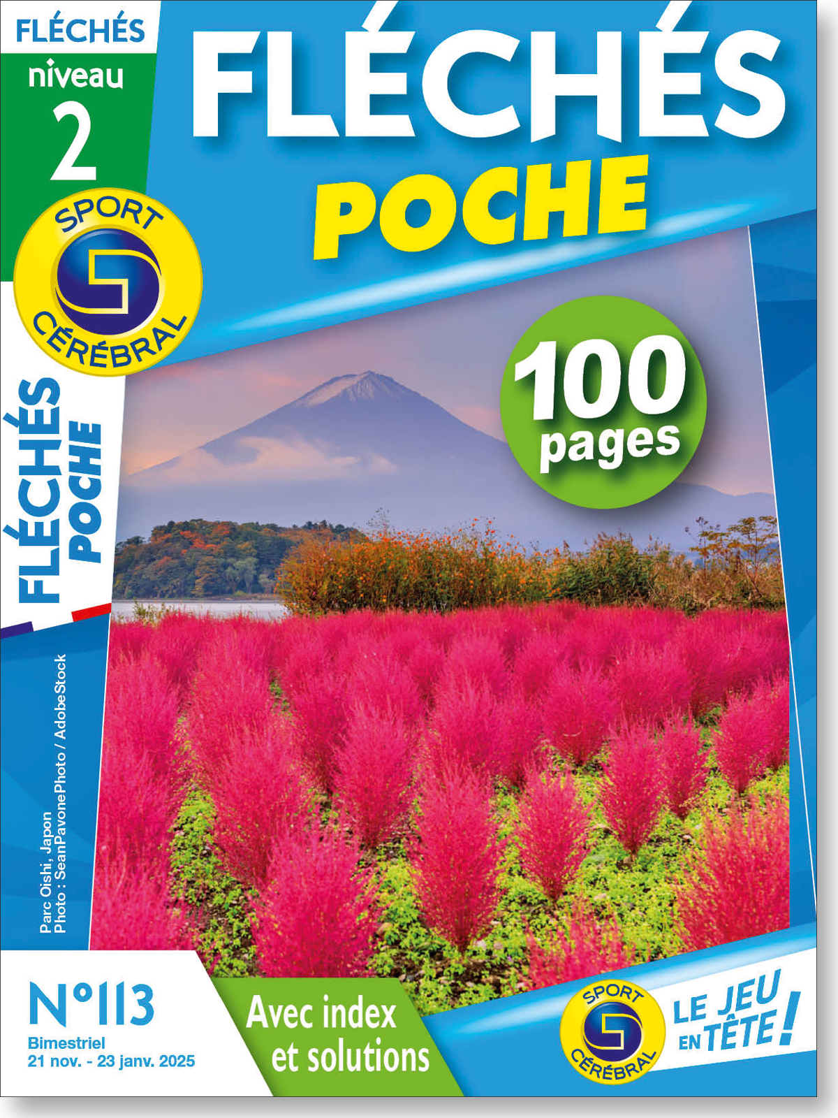 Fléchés Poche Numéro 113